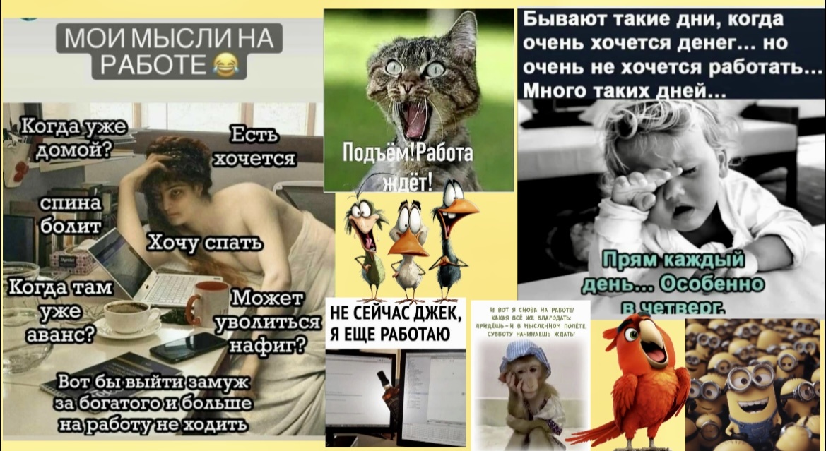 ‘’- ЭТ ЧЁ за кадр?’’🤣Юморные картинки ШУТКи МЕМЫ: Подборка про коллег и работе в ОФИСЕ на позитиве(весёлая история)
