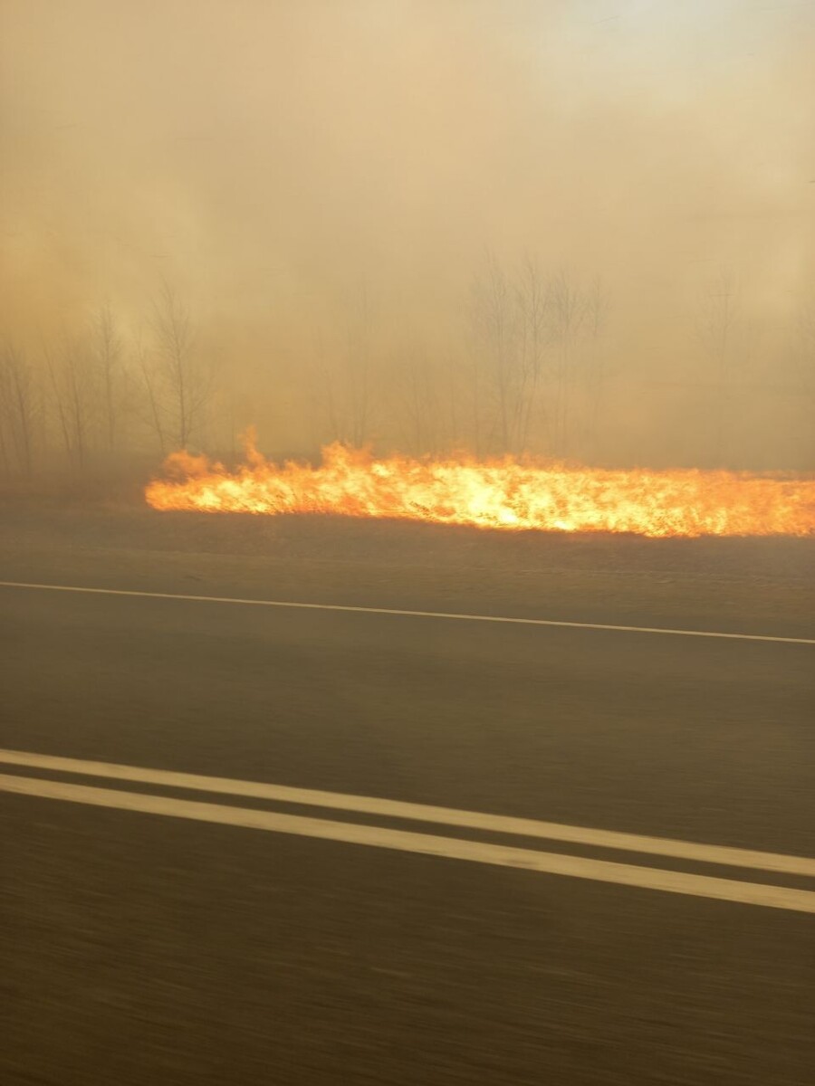    Фото: Очевидец   📷   Фото: Очевидец