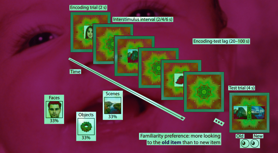   N + 1; Tristan S. Yates et al. / Science, 2025; Alo81 / Wikimedia Commons / Public Domain