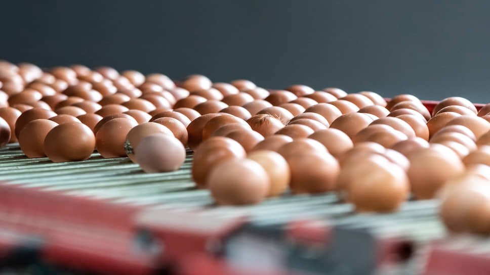 Фото: Игорь Елисеев / Коммерсантъ