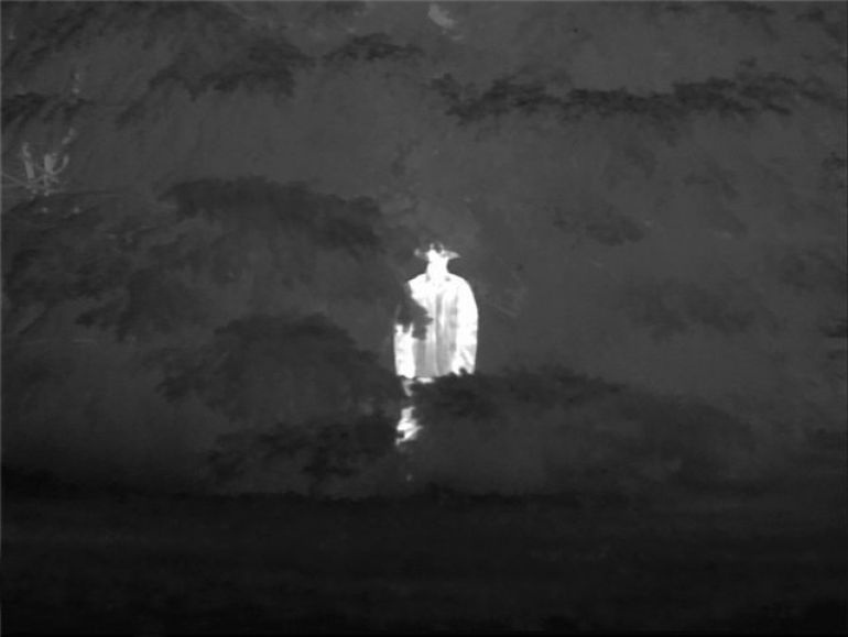 вид в тепловизор