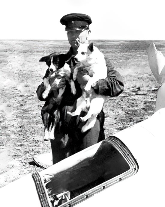 В.И. Яздовский с первыми четвероногими «космонавтами» – Цыганом и Дезиком после их успешного возвращения на Землю. Капустин Яр, 22 июля 1951 года.