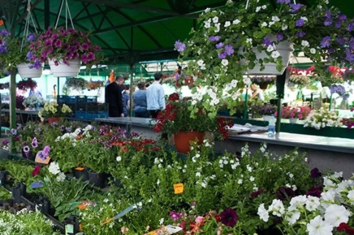    В Хабаровске на рынке у «Химфармзавода» выделят бесплатные места