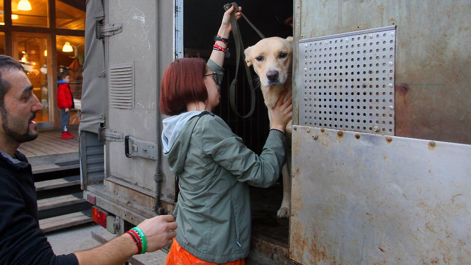 Фото: Роман Яровицын / Коммерсантъ