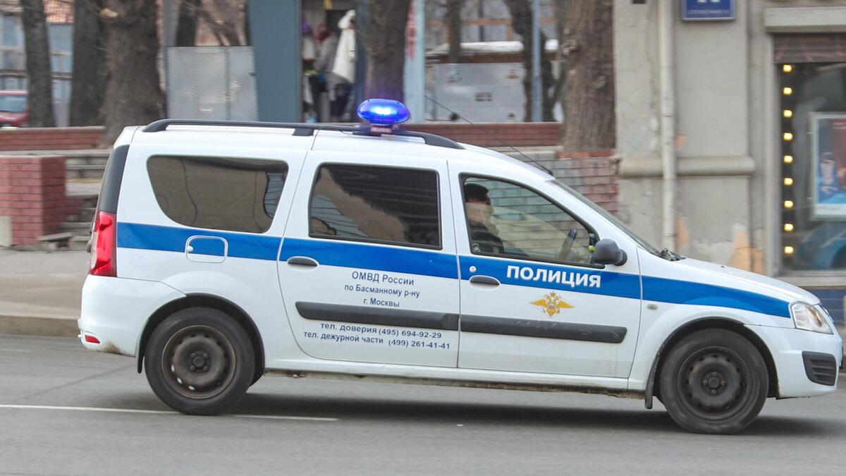    Фото: Pogiba Alexandra/news.ru