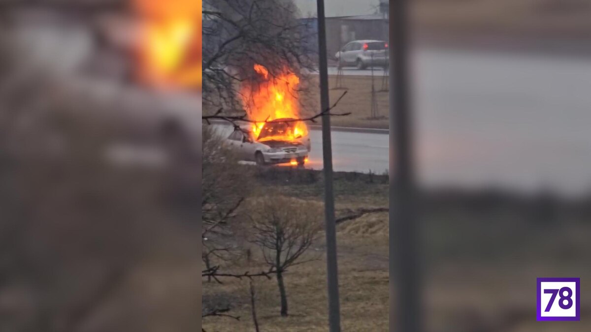    Фото: t.me/Megapolisonline