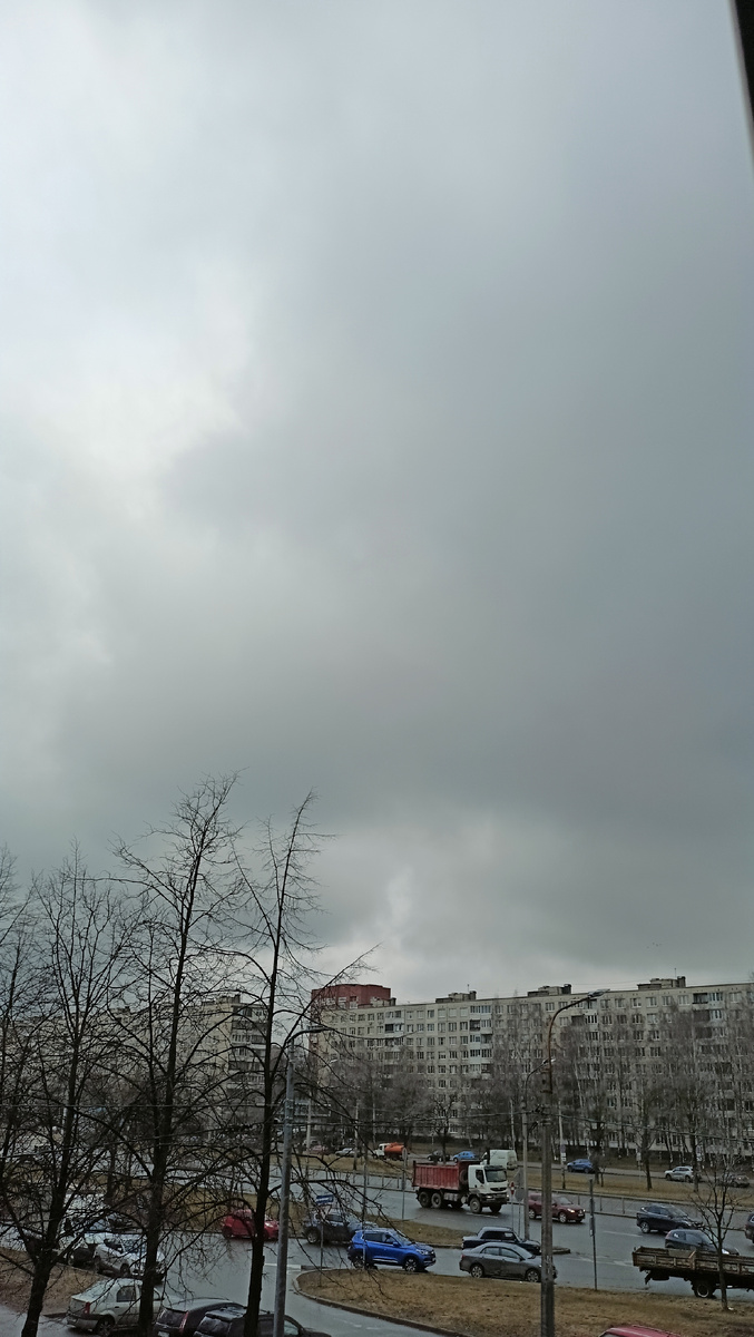 Фото автора. 10.30. СПб.