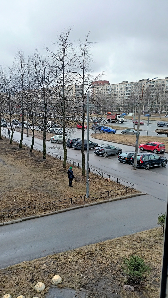 Фото автора. 10,30. СПб.