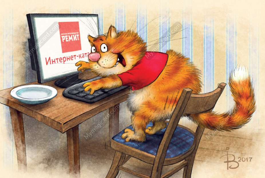 рыжий котик Рины Зенюк