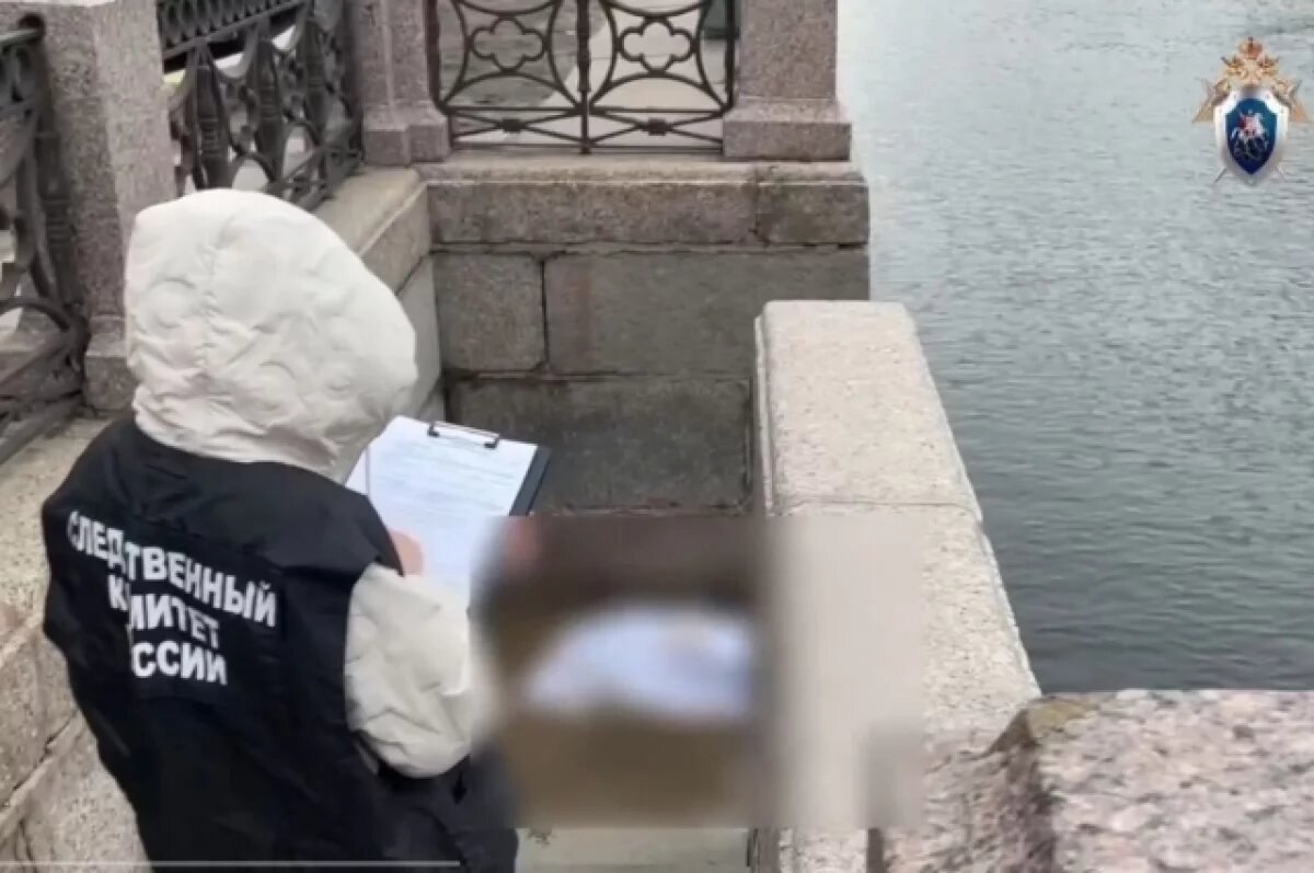    Со льдины в Мойке у Фонарного моста сняли вмерзший труп