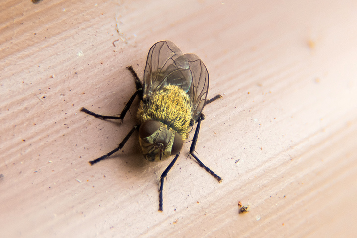    Фото Андрея Заржецкого