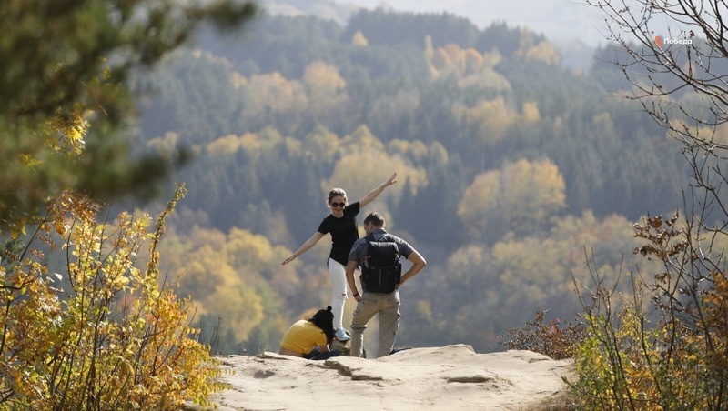      Фото: ИА «Победа26»