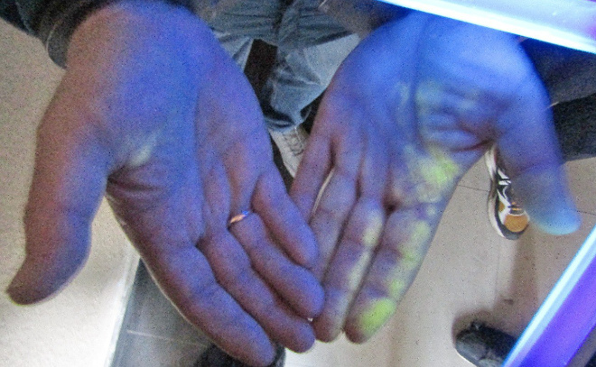    © Пресс-служба СУ СКР по Ленобласти