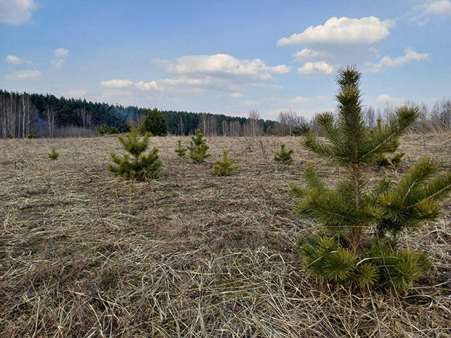 Более 460 га земель проверили Россельхознадзор и МЧС в Тверской области