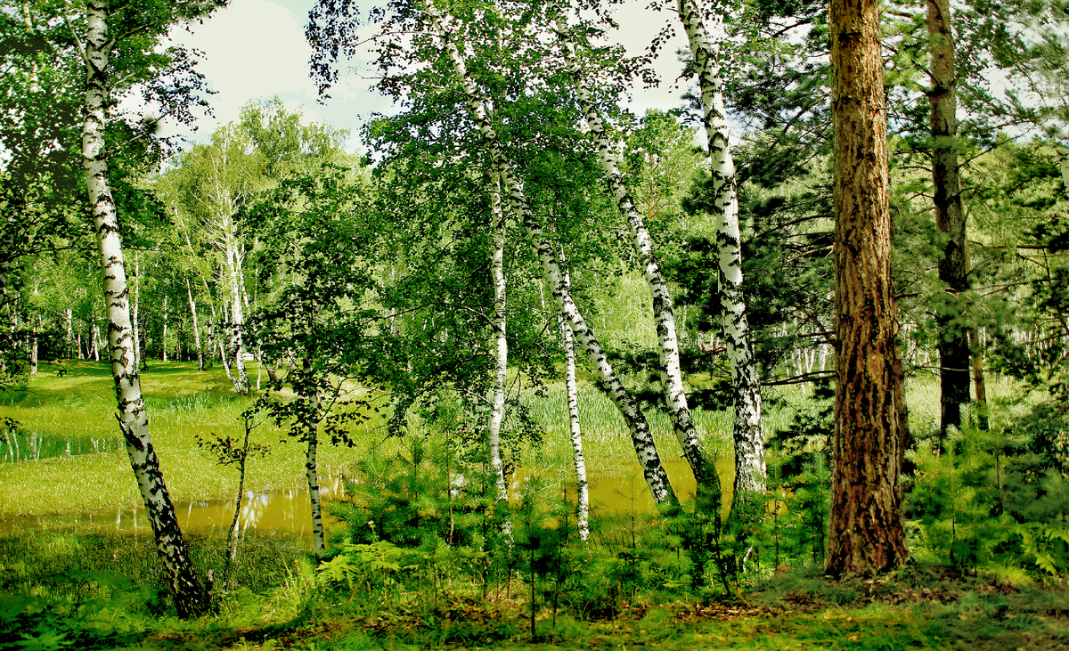 Фотография, стихотворение Василия Глуцкого 
