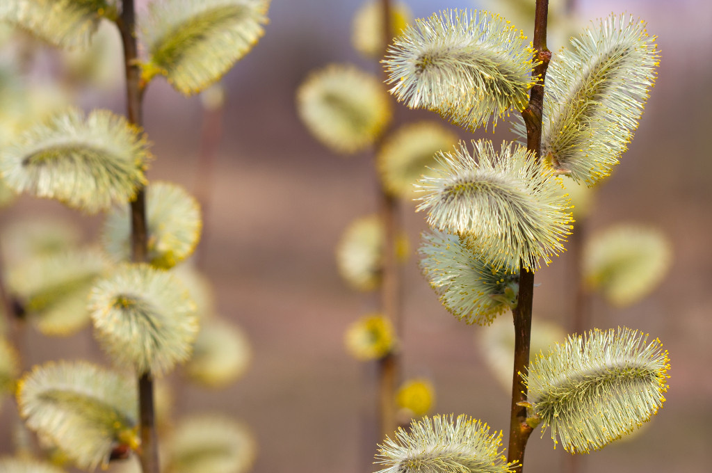       Источник: freepik.com