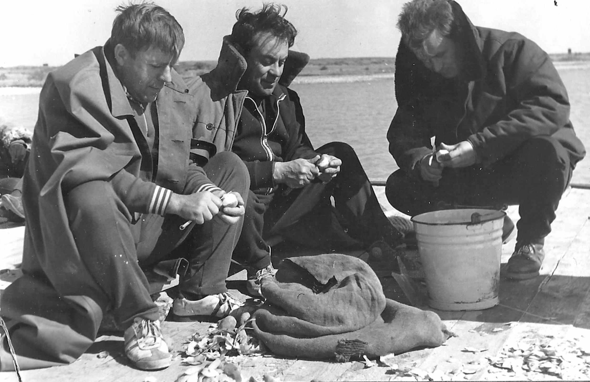 На фото участники учений на Балхашском полигоне чистят картошку на уху. Первый слева - автор