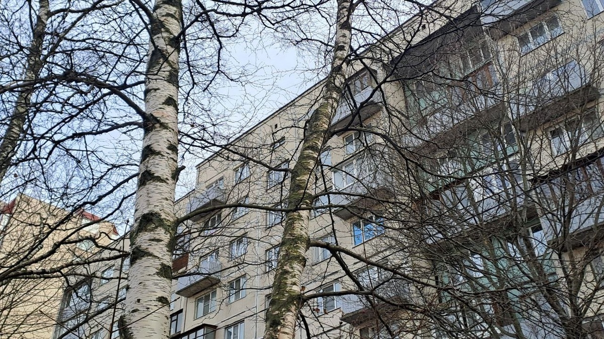    Фото: Мойка78