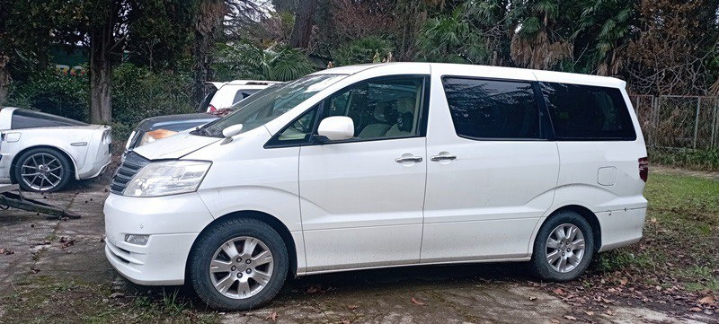    Фото: пресс-служба Краснодарской таможни по Сочи