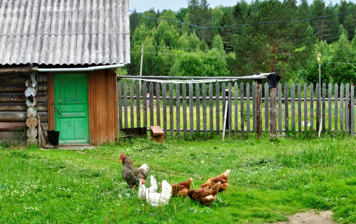 Яндекс картинки