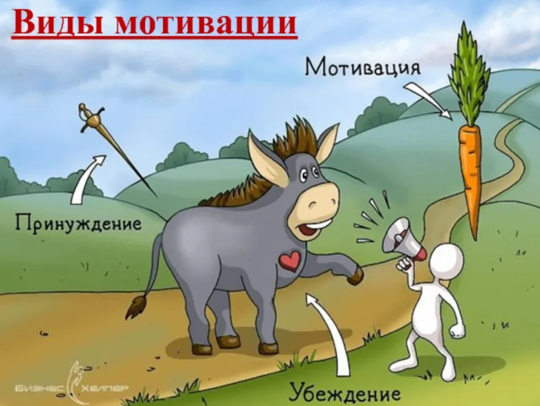 Из открытых источников Интернета.