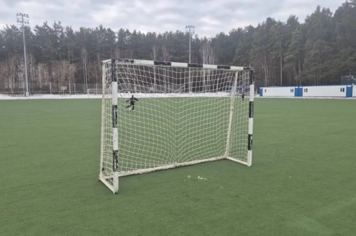    В Екатеринбурге на 11-летнего мальчика упали футбольные ворота