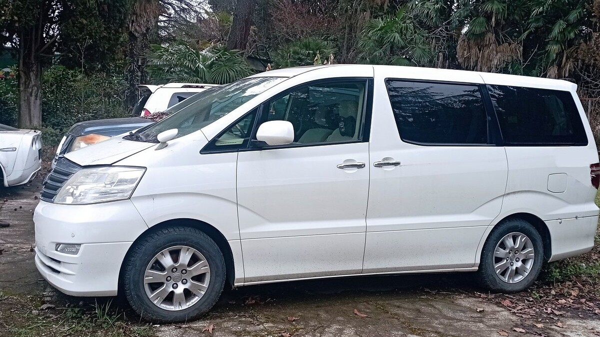    Фото: пресс-служба Краснодарской таможни по г. Сочи