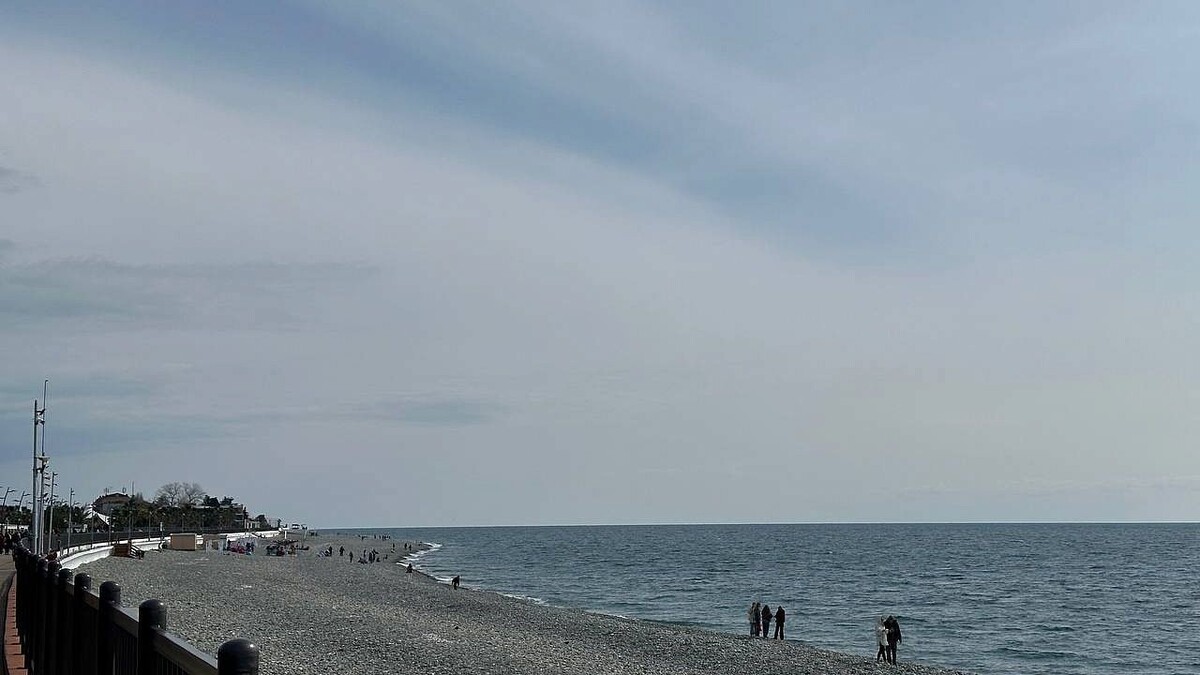    Фото: телеканал «Краснодар»