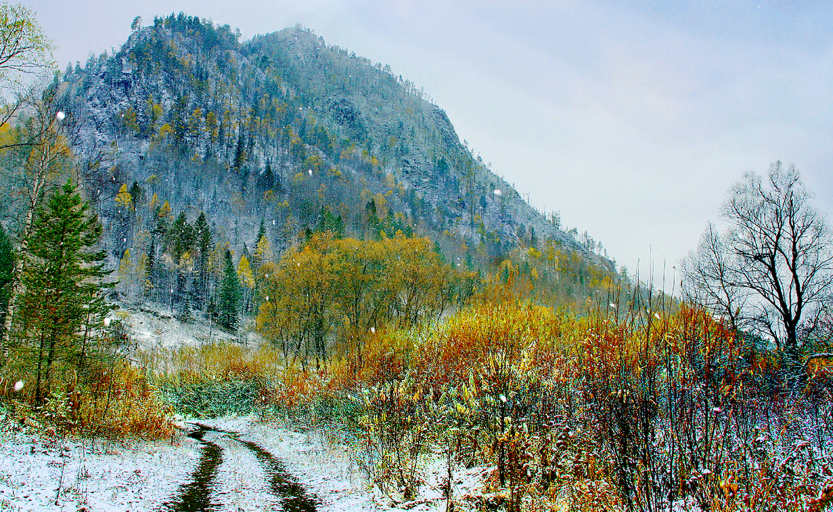 Фотография, стихотворение Василия Глуцкого