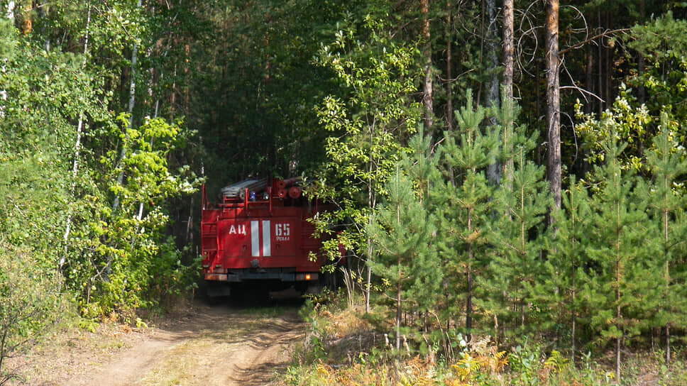 Фото: Владислав Лоншаков / Коммерсантъ