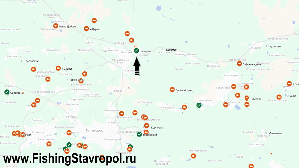 Платная рыбалка, водоем "ОВОЩЕВОД"