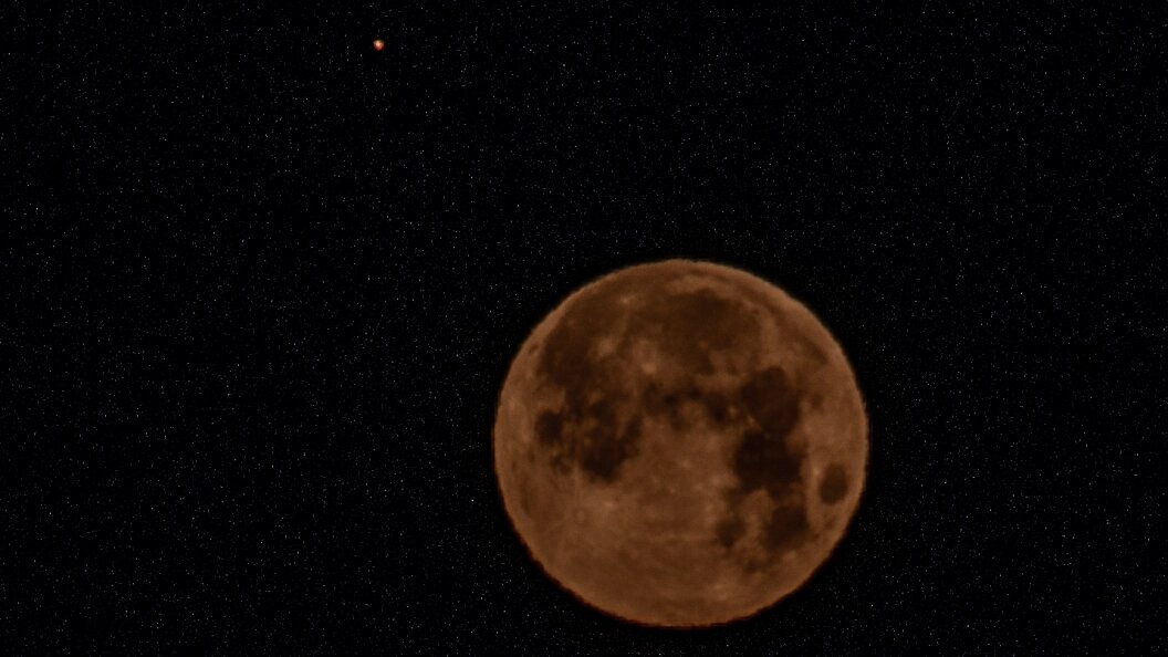    Фото: Svetlana Vozmilova/Global Look Press