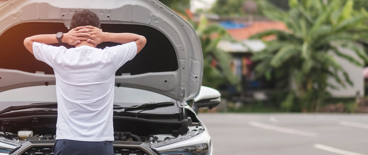 Фото заимствовано - https://en.sinkor.ru/%CF%80%CE%B5%CF%86%CF%84%CE%B5%CE%B9-%CE%B7-%CE%BC%CF%80%CE%B1%CF%84%CE%B1%CF%81%CE%B9%CE%B1-%CE%BC%CE%B5-%CE%B1%CE%BD%CE%B1%CE%BC%CE%BC%CE%B5%CE%BD%CE%B1-%CF%86%CF%89%CF%84%CE%B1-k.html