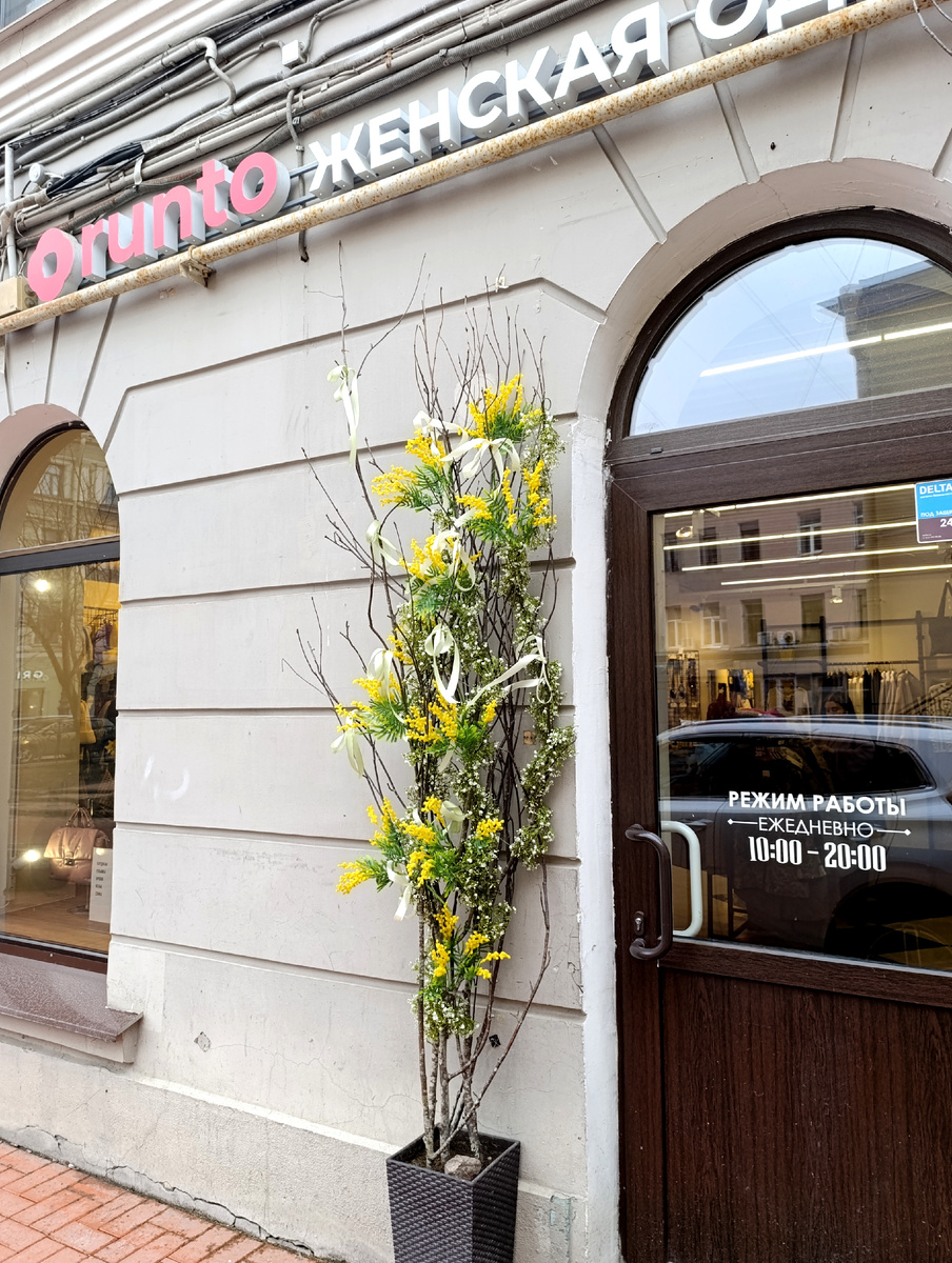 Все фото автора. 