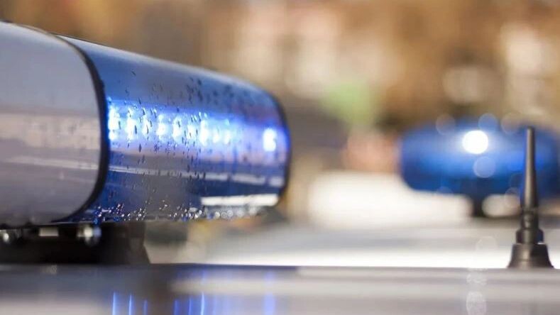    Фото: Siarhei Kuranets/Shutterstock/Fotodom