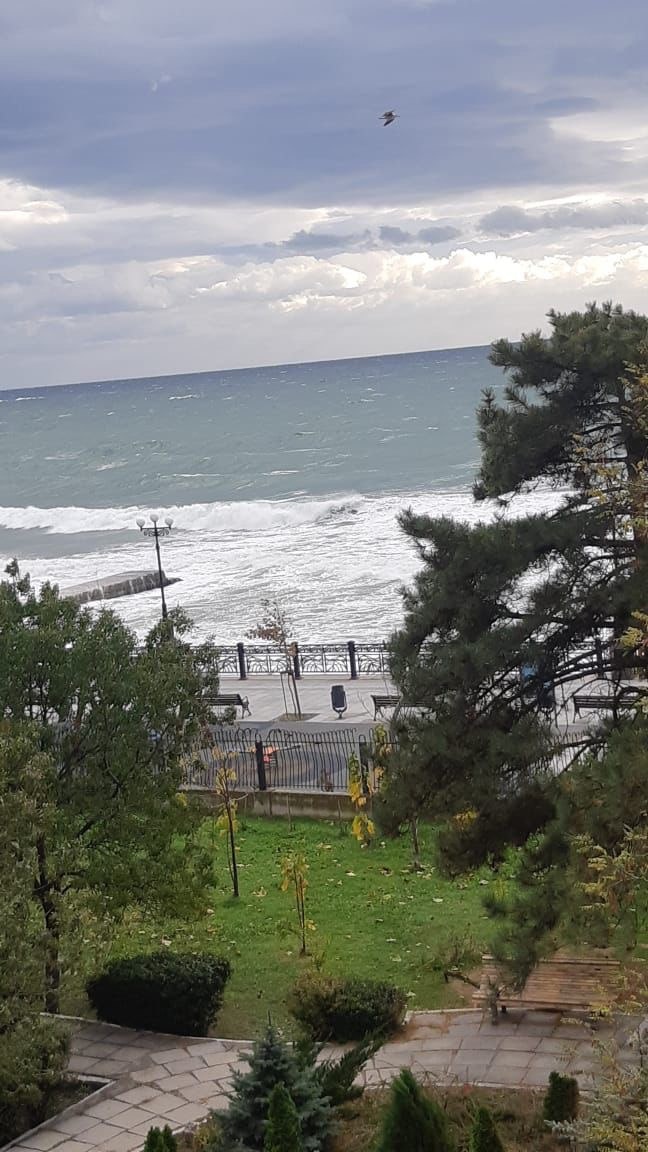 1. Ялта – Севастополь: 80 км южного драйва

📍 Крым, трасса 35К-002

Эта дорога — настоящая кладовая красоты: всего за пару часов вы сможете насладиться морскими пейзажами, скалами, горными вершинами и старинными дворцами. Маршрут пролегает через Ялту, Ливадию, Алупку и Балаклаву и другие живописные уголки Крыма.

Что здесь особенно примечательно?

✔ Форосская церковь, возвышающаяся на скале на высоте 400 метров над уровнем моря!
✔ Места тренировок сборной России по горному велоспорту, которые открывают двери в мир адреналина.
✔ Потрясающие виды, которые прекрасны в любое время года.