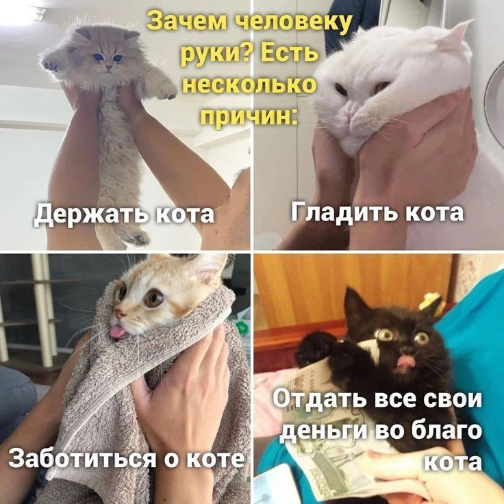 фото из интернета