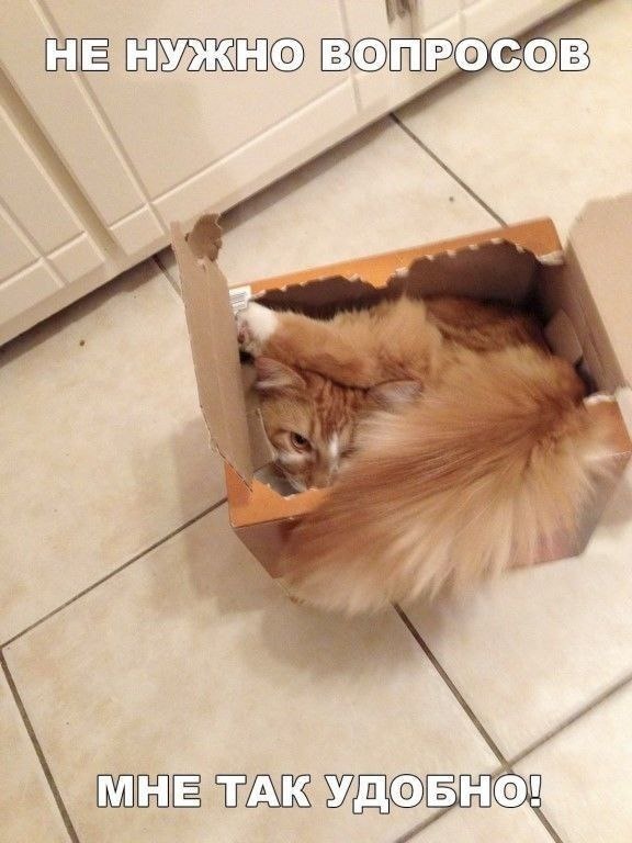 Фото из интернета