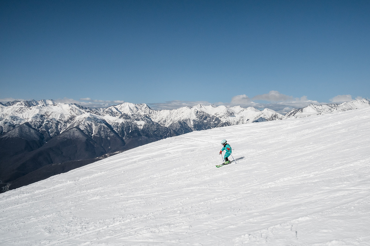    Фото: пресс-служба администрации города Сочи