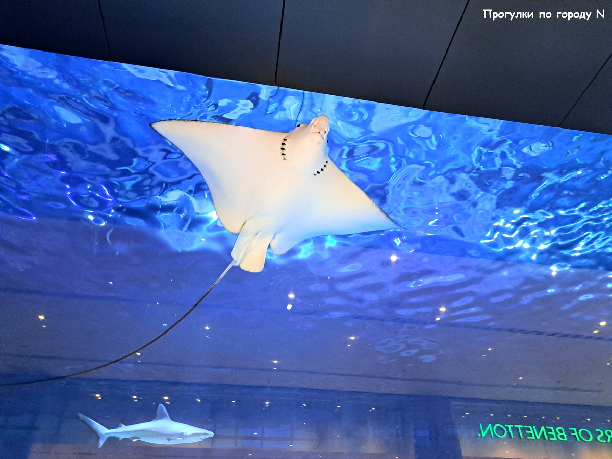 Листайте карусель