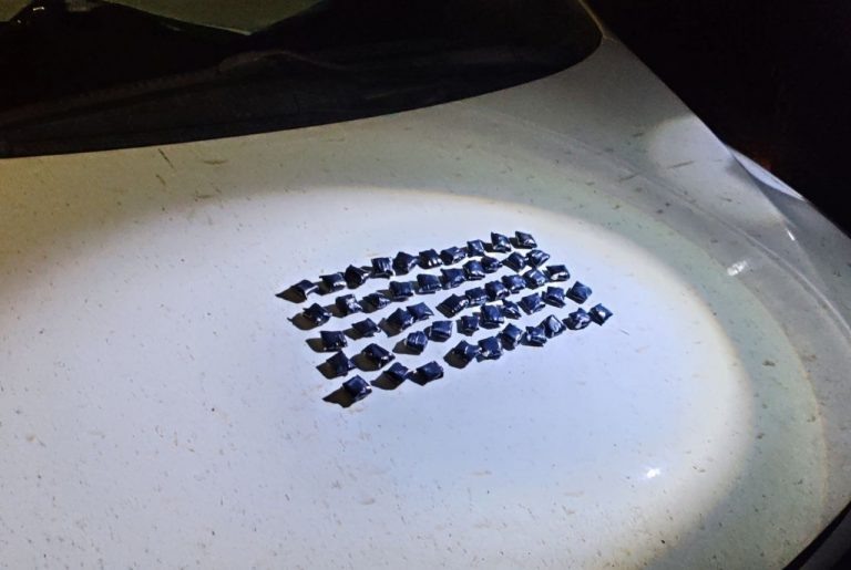    В Оренбурге у 18-летнего «закладчика» изъяли свёртки с наркотиком Оренбуржье