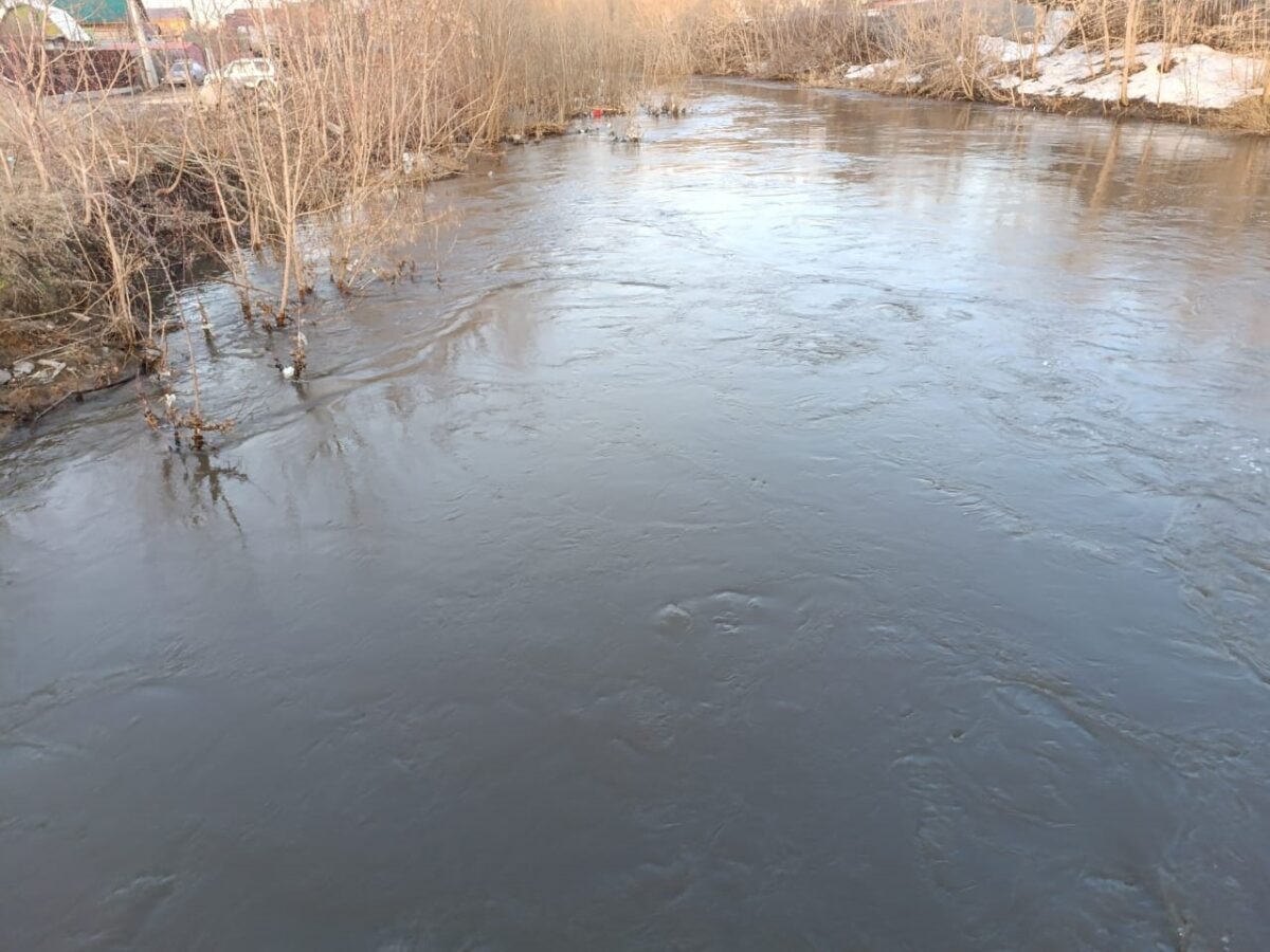    Фото: Прецедент