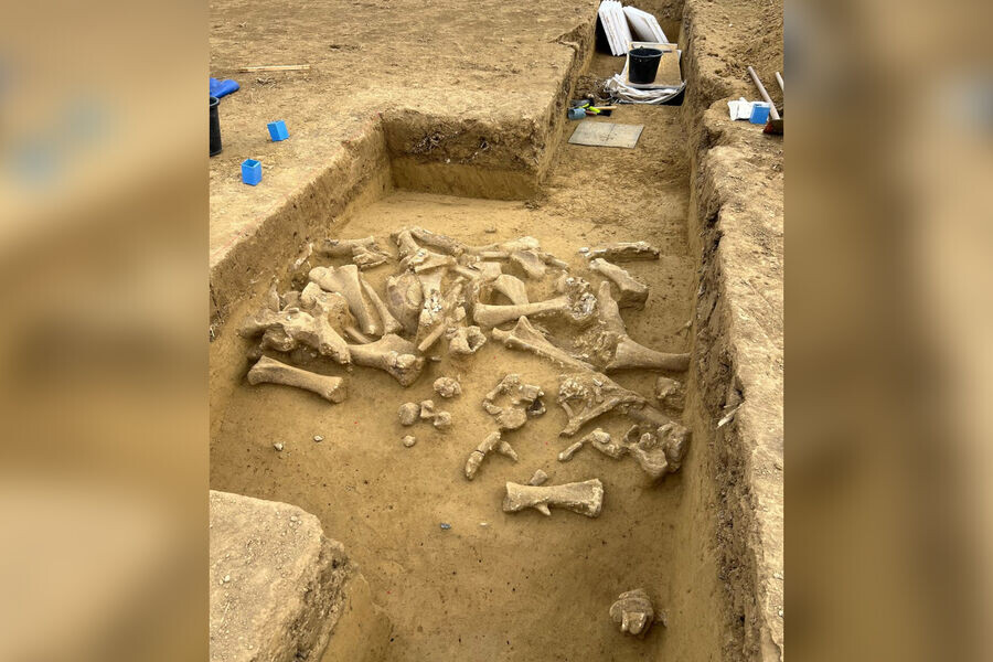    Фото ÖAW-ÖAI/Marc Händel