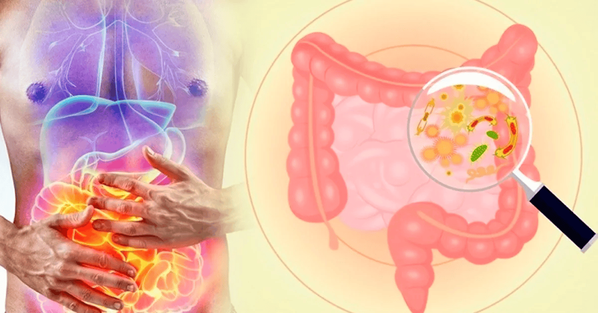 70% всех иммунных клеток сосредоточены именно в кишечнике