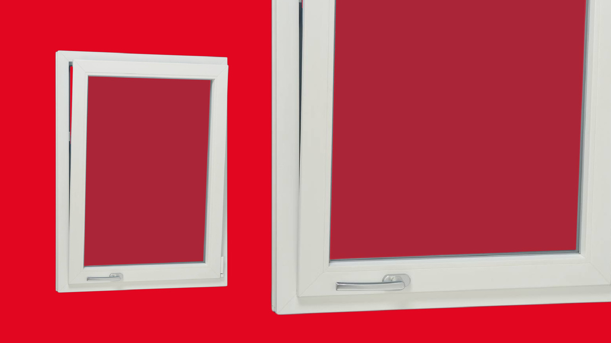 Источник фото: © Roto