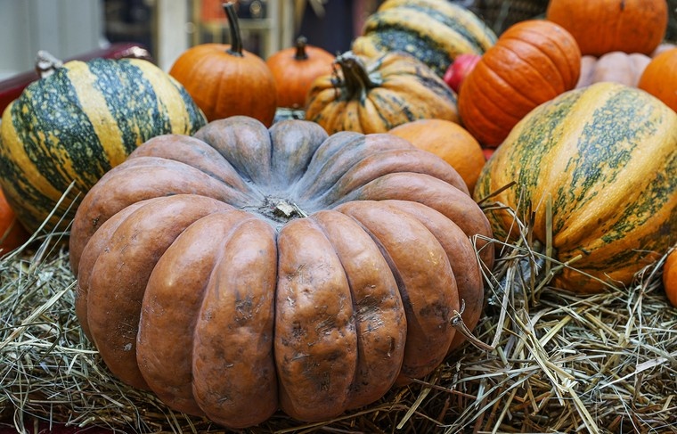    Сергей Булкин/NEWS.ru