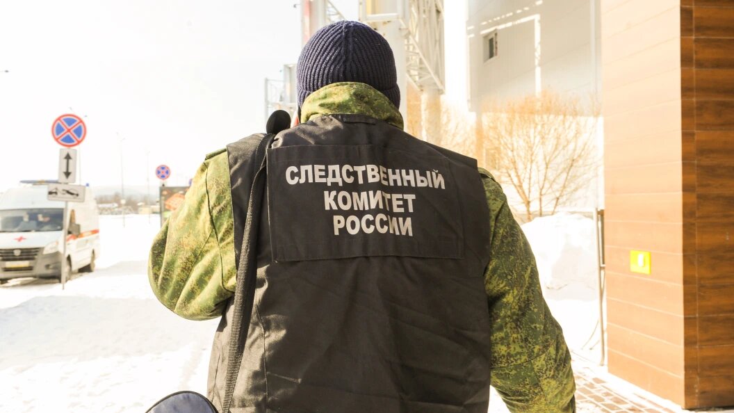    Vadim Akhmetov/Globallookpress