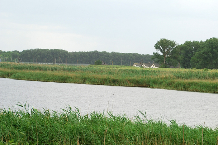 Река Сосыка является левым и крупнейшим притоком реки Еи. Протяжённость Сосыки — 159 км. Авт. пр. фото: Иван Гайдуков.