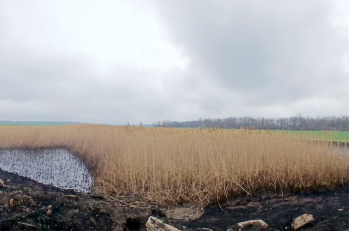 Вот так в марте 2025 года выглядит исток Сосыки близ хутора Латыши в Тихорецком районе. Фото: Наталья Аксёнова.