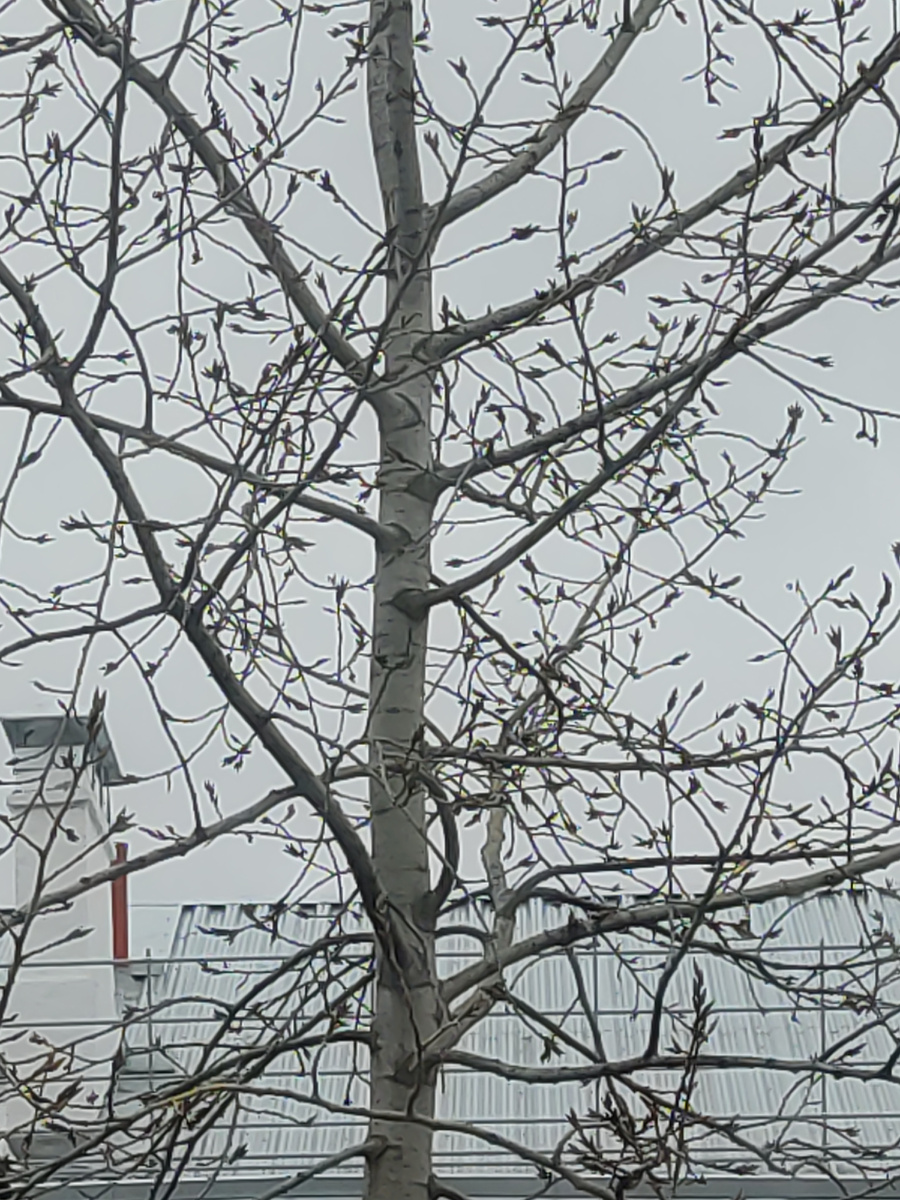 Фото из окна